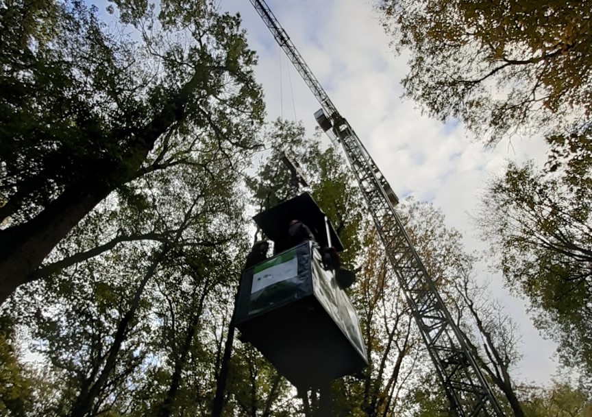 Auwaldkran, Kanzel, Foto: Mathias Scholz